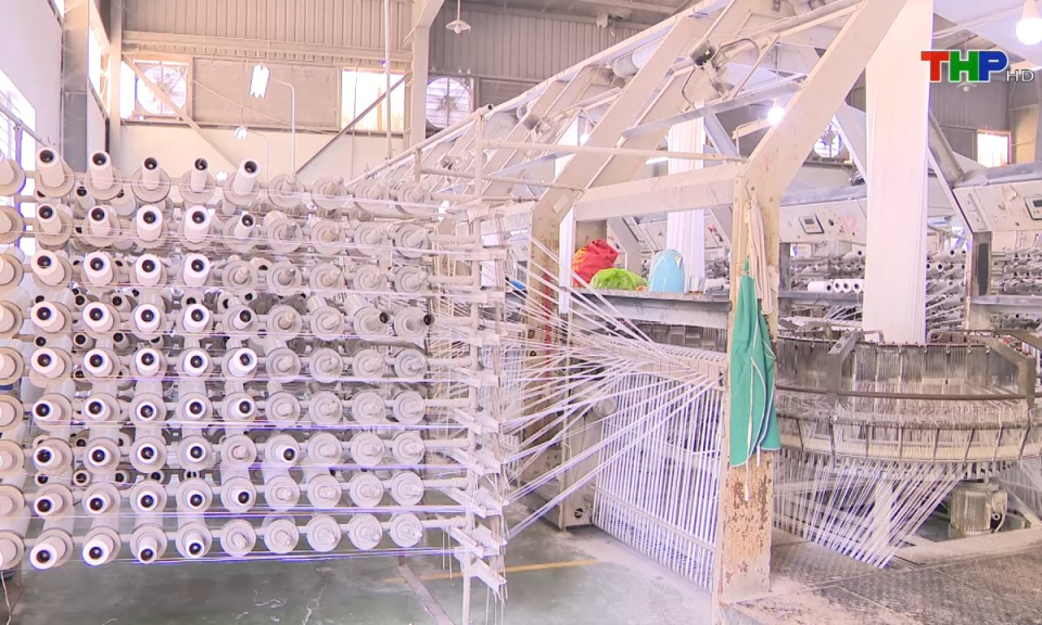 Bản tin thời sự tối (07/11/2024)