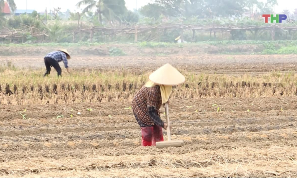 Bản tin thời sự trưa (08/11/2024)