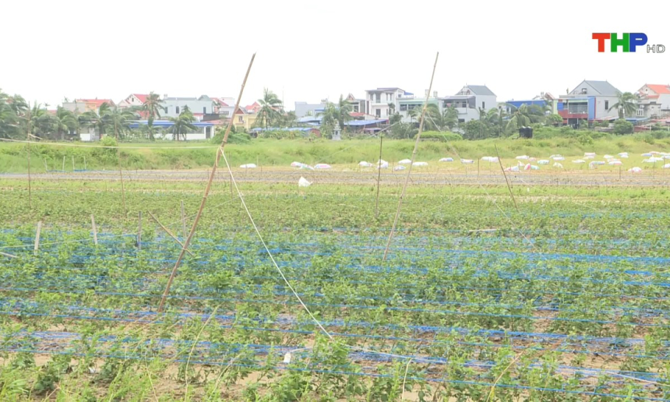 Bản tin thời sự s&aacute;ng (09/11/2024)