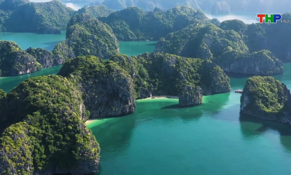 Bản tin Hải Ph&ograve;ng h&ocirc;m nay (09/11/2024)