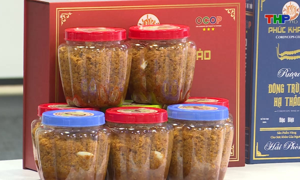 Bản tin tiếng Anh (09/11/2024)