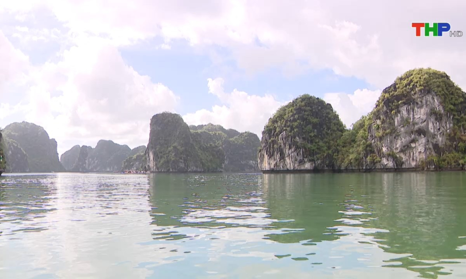 Bản tin tiếng Anh (29/10/2024)