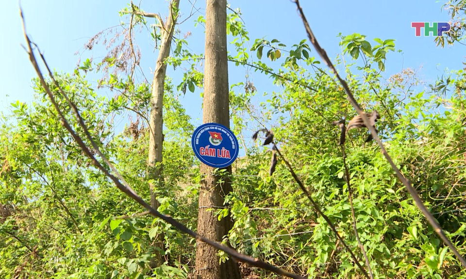 Tăng cường quản l&yacute;, bảo vệ rừng