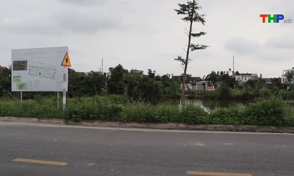 Bản tin tiếng Anh (11/11/2024)