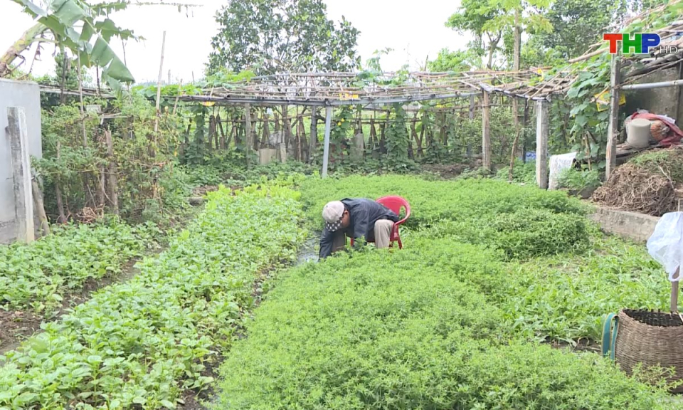 Bản tin tiếng Trung (11/11/2024)