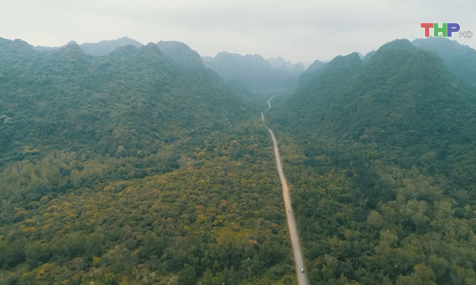 Bảo tồn đa dạng sinh học tại C&aacute;t B&agrave; 