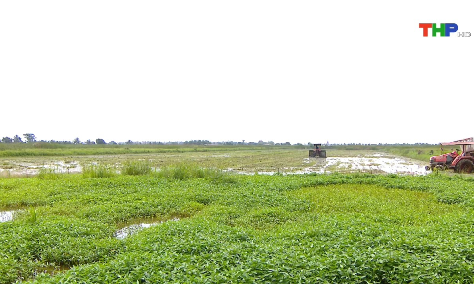 Ph&oacute;ng sự: T&iacute;ch tụ ruộng đất - Giải ph&aacute;p hiệu quả giảm diện t&iacute;ch đất bỏ hoang kh&ocirc;ng canh t&aacute;c