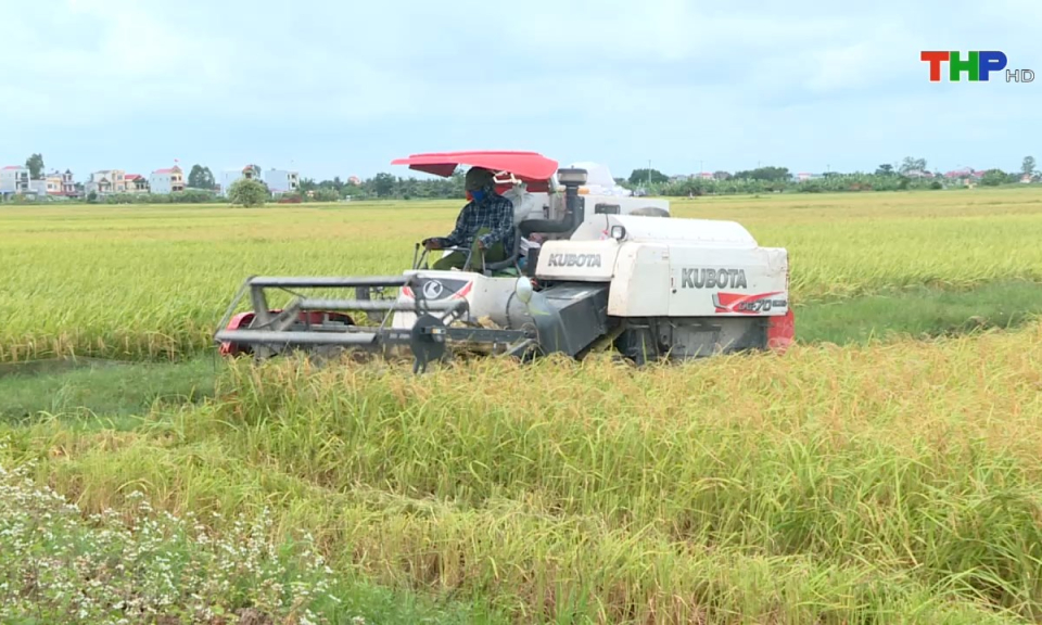 10 ph&uacute;t v&agrave;ng (12/11/2024)