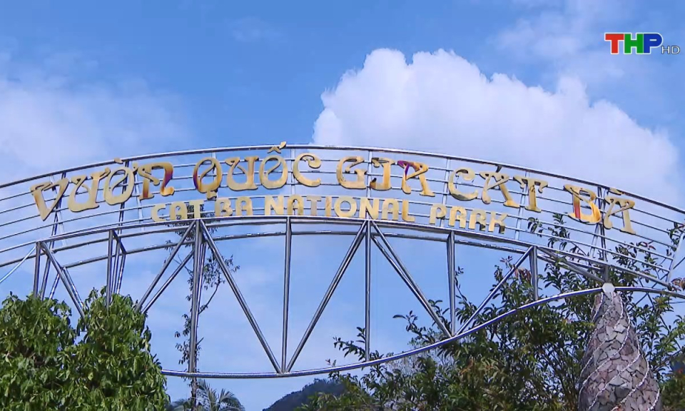 Bản tin thời sự s&aacute;ng (13/11/2024)