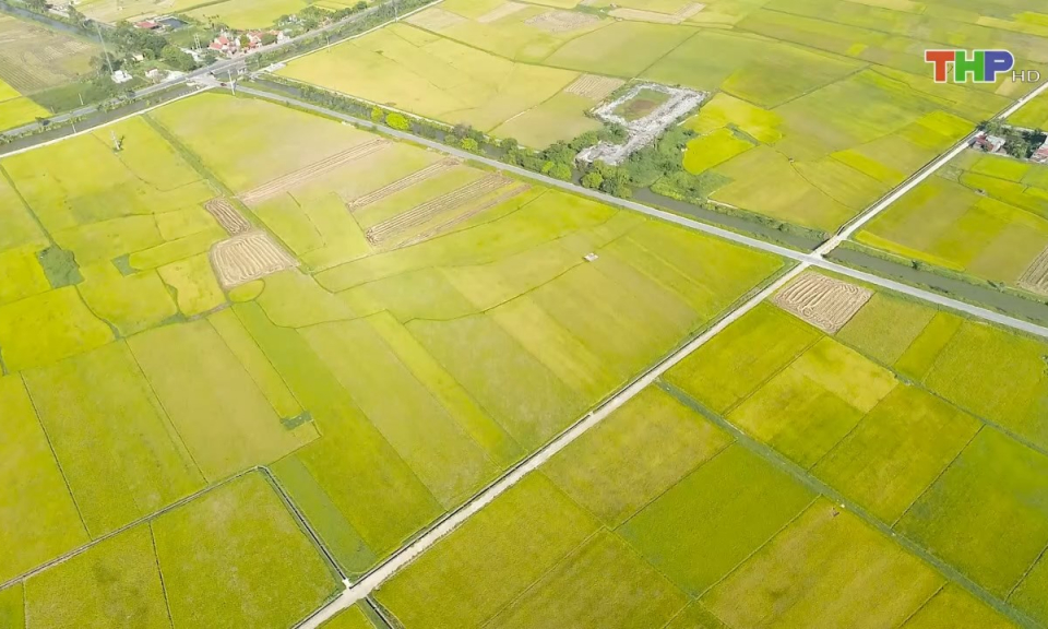 Bản tin thời sự trưa (14/11/2024)