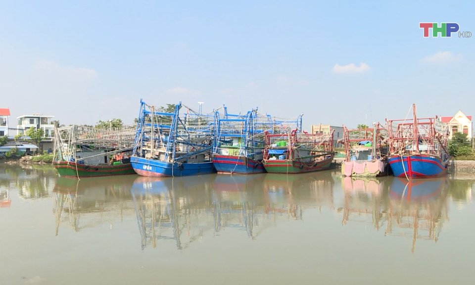 Đẩy mạnh chống khai th&aacute;c thủy sản bất hợp ph&aacute;p