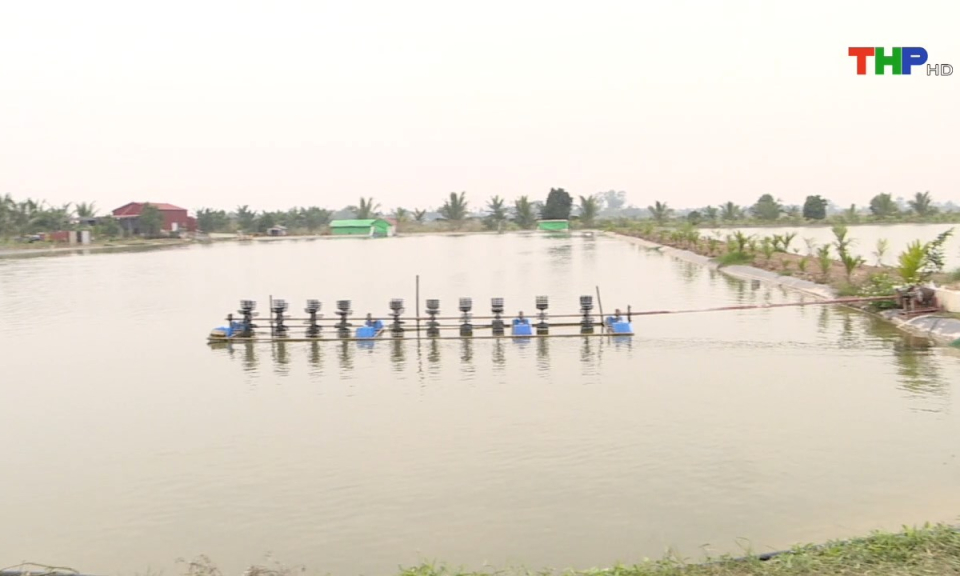 N&ocirc;ng th&ocirc;n mới Hải Ph&ograve;ng: Hỗ trợ n&ocirc;ng d&acirc;n nh&acirc;n rộng m&ocirc; h&igrave;nh kinh tế