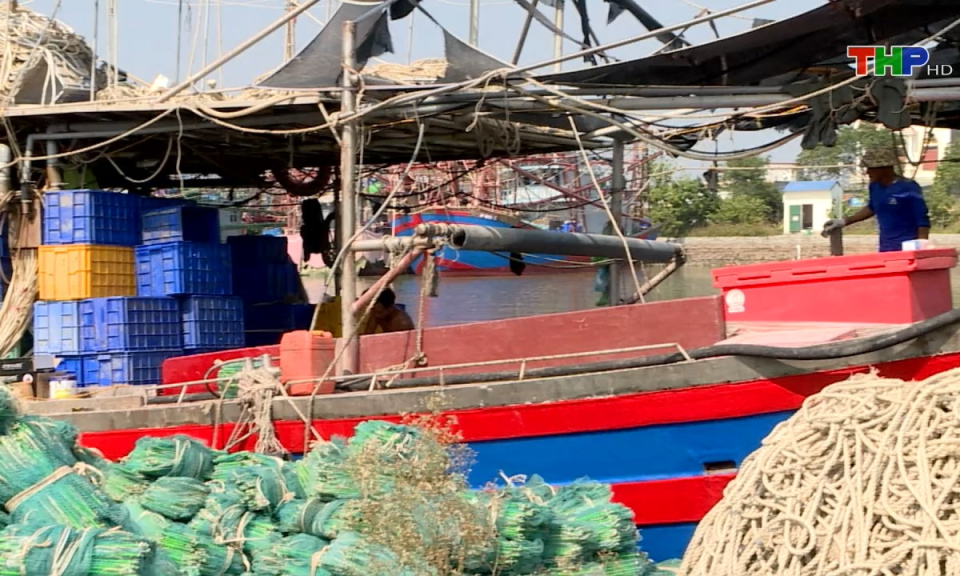 Bản tin Hải Ph&ograve;ng h&ocirc;m nay (15/11/2024)