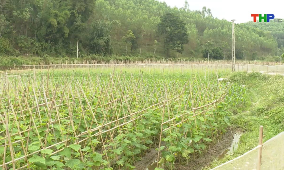 Bản tin Hải Ph&ograve;ng kết nối (15/11/2024)