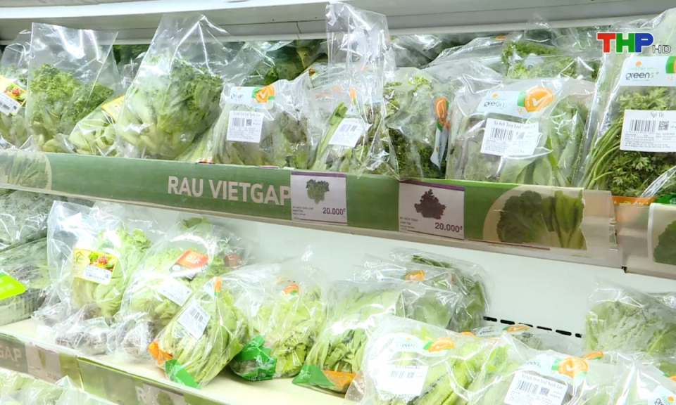 Bản tin thời sự s&aacute;ng (16/11/2024)