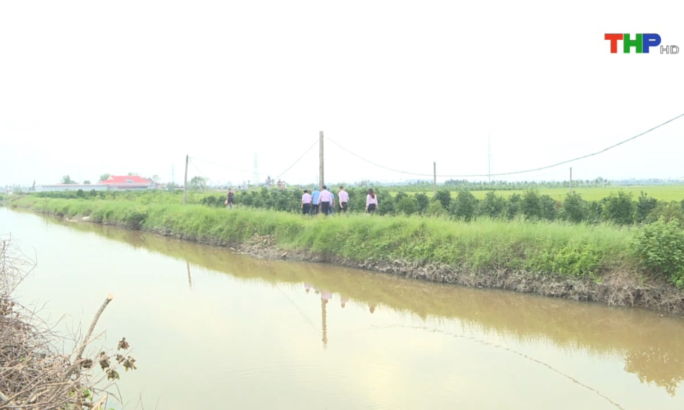 Bản tin tiếng Anh (15/11/2024)