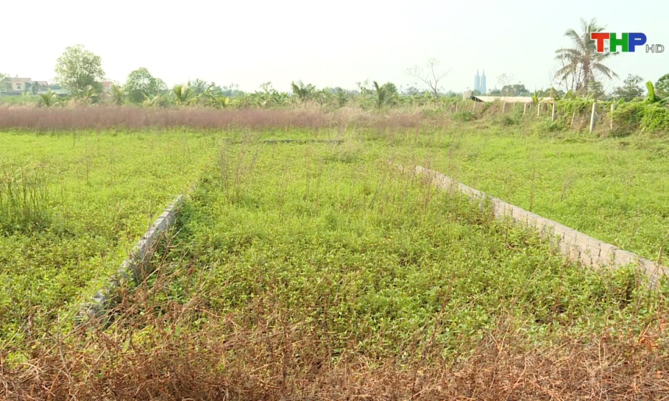 Ph&aacute;p luật v&agrave; cuộc sống: Những hệ lụy từ việc bỏ cọc đấu gi&aacute; quyền sử dụng đất