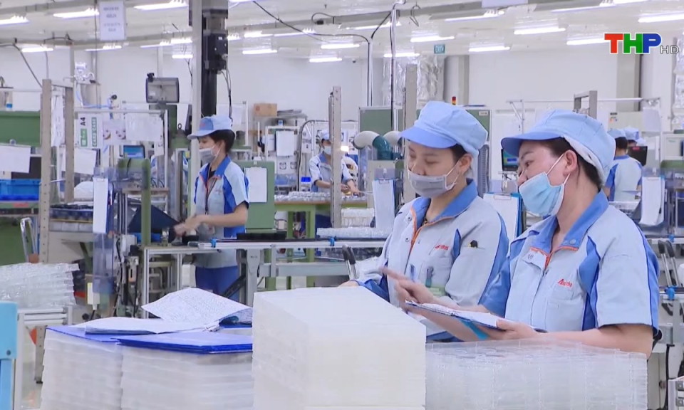 Điểm nhấn 365: Th&aacute;ch thức v&agrave; cơ hội việc l&agrave;m trong kỷ nguy&ecirc;n số