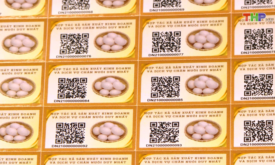 Ngăn ngừa gian lận thương mại qua truy xuất nguồn gốc h&agrave;ng h&oacute;a