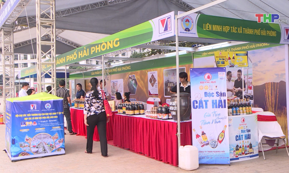 Ph&aacute;t huy hiệu quả từ c&aacute;c Hợp t&aacute;c x&atilde; kiểu mới