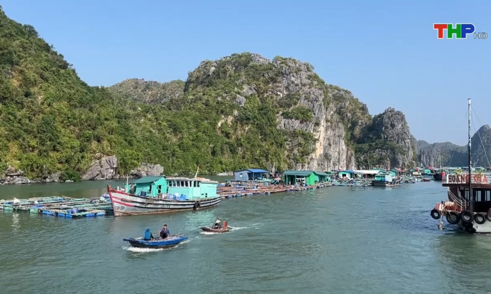 Bản tin Hải Ph&ograve;ng h&ocirc;m nay (17/11/2024)