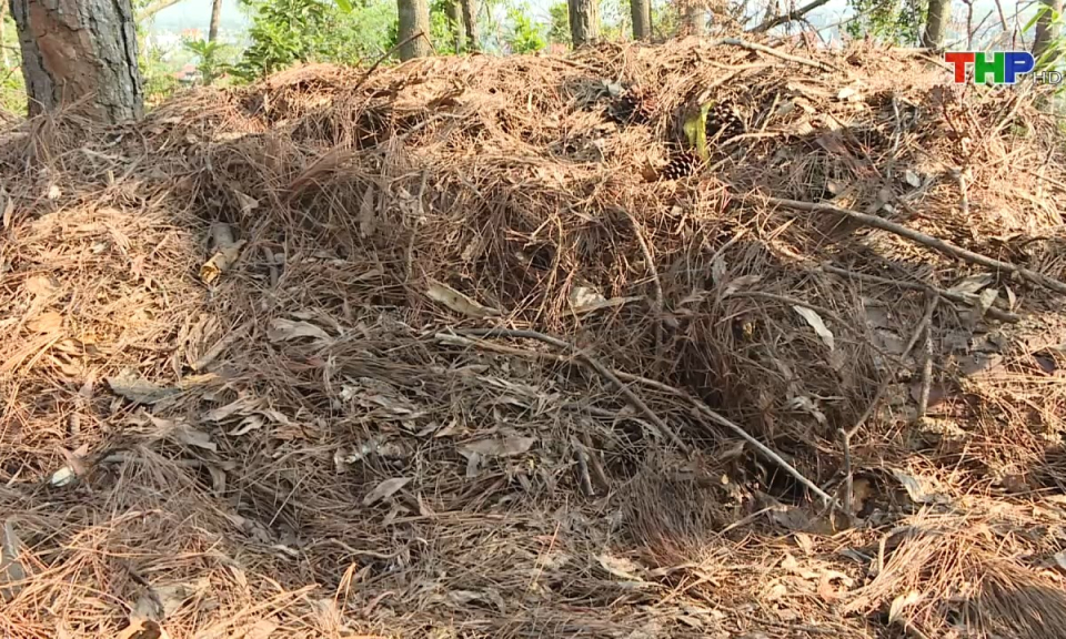 Bản tin thời sự s&aacute;ng (18/11/2024)