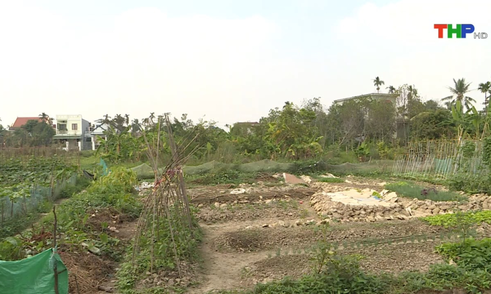 Ph&aacute;p luật v&agrave; cuộc sống: Th&aacute;o gỡ vướng mắc trong c&ocirc;ng t&aacute;c giải ph&oacute;ng mặt bằng