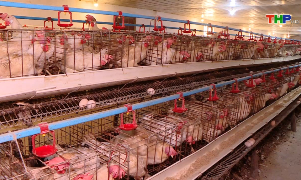 Bản tin tiếng Trung (18/11/2024)