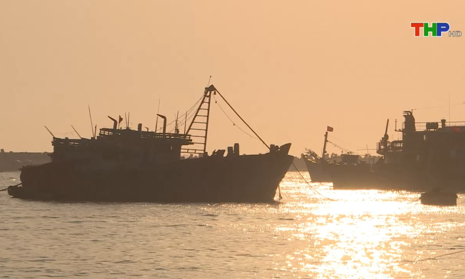 Bản tin thời sự tối (18/11/2024)