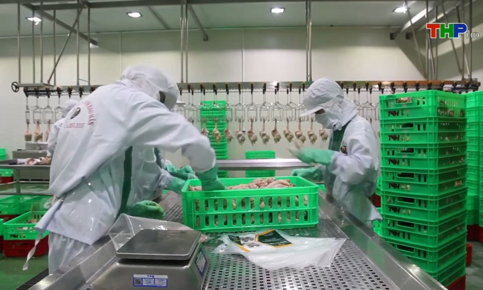 Ph&oacute;ng sự: X&acirc;y dựng khu giết mổ tập trung: Quy hoạch c&oacute; nhưng kh&oacute; triển khai