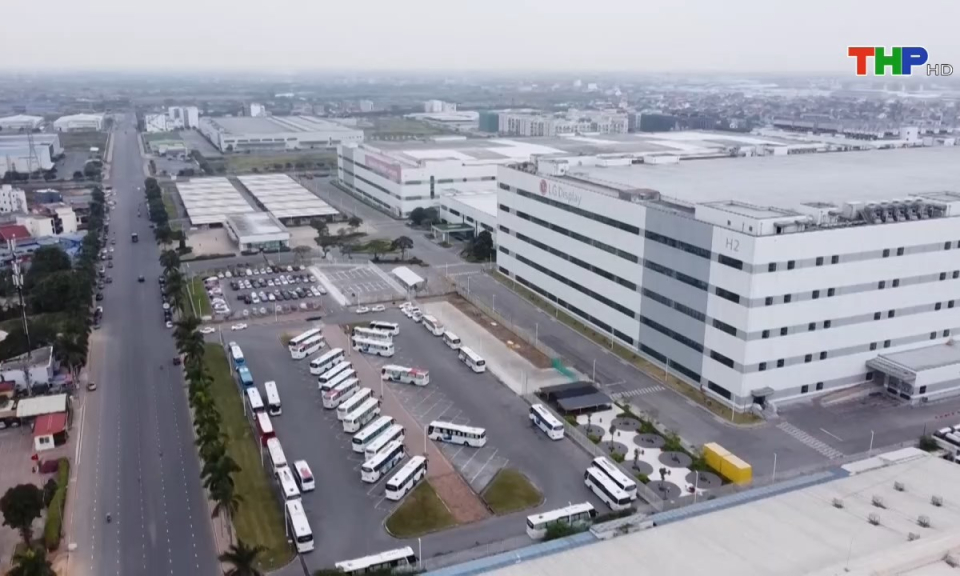 Bản tin thời sự s&aacute;ng (21/11/2024)