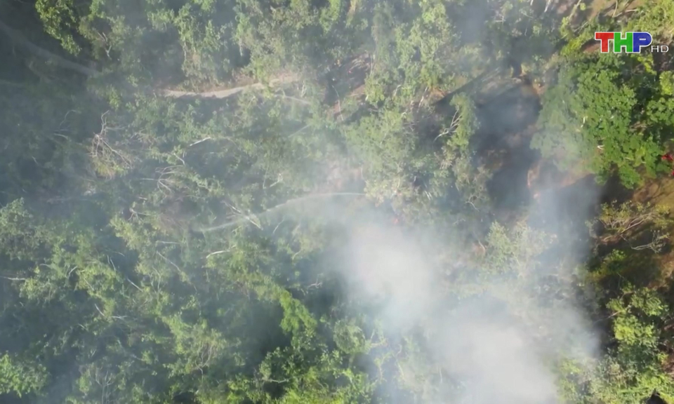 Tăng cường ph&ograve;ng, chống ch&aacute;y rừng 