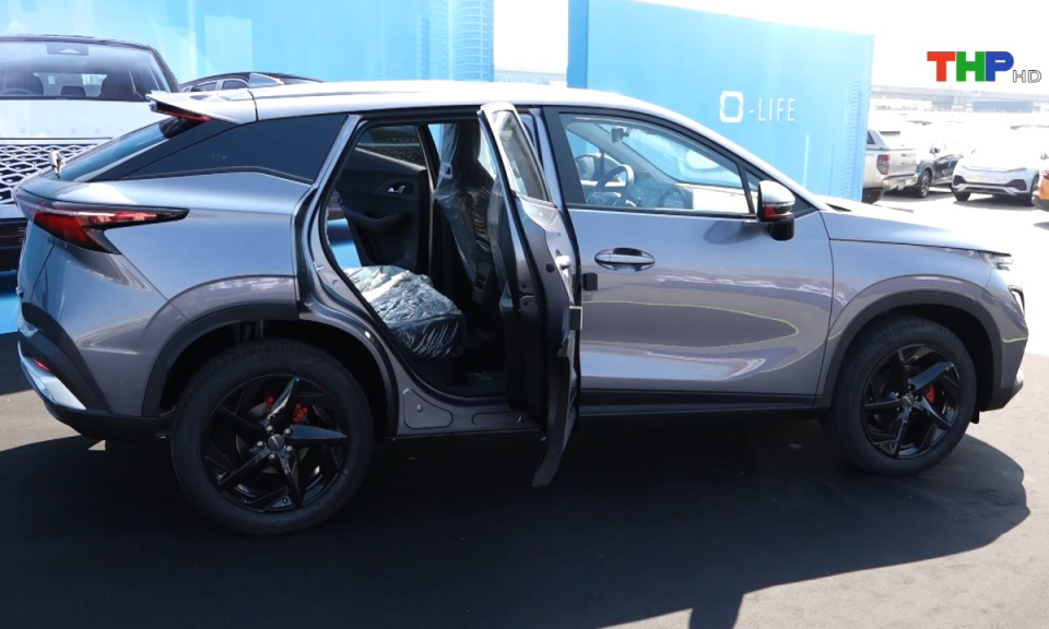 Bản tin tiếng Anh (21/11/2024)