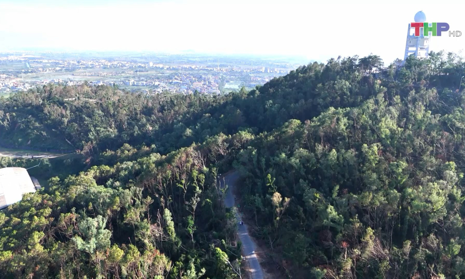 Ph&ograve;ng, chống ch&aacute;y rừng m&ugrave;a hanh kh&ocirc;