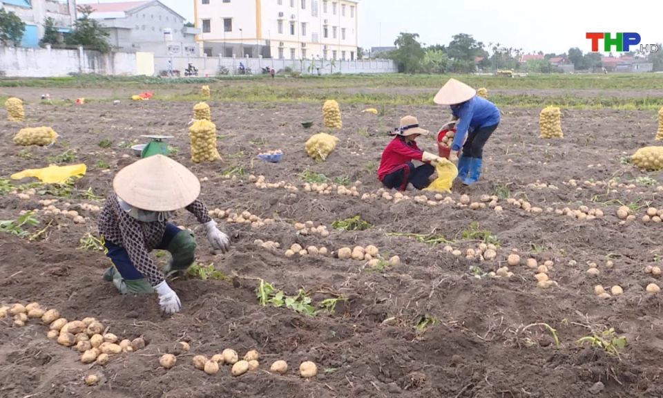 Bản tin Hải Ph&ograve;ng h&ocirc;m nay (22/11/2024)