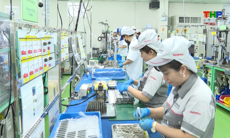 Bản tin Hải Ph&ograve;ng kết nối (22/11/2024)