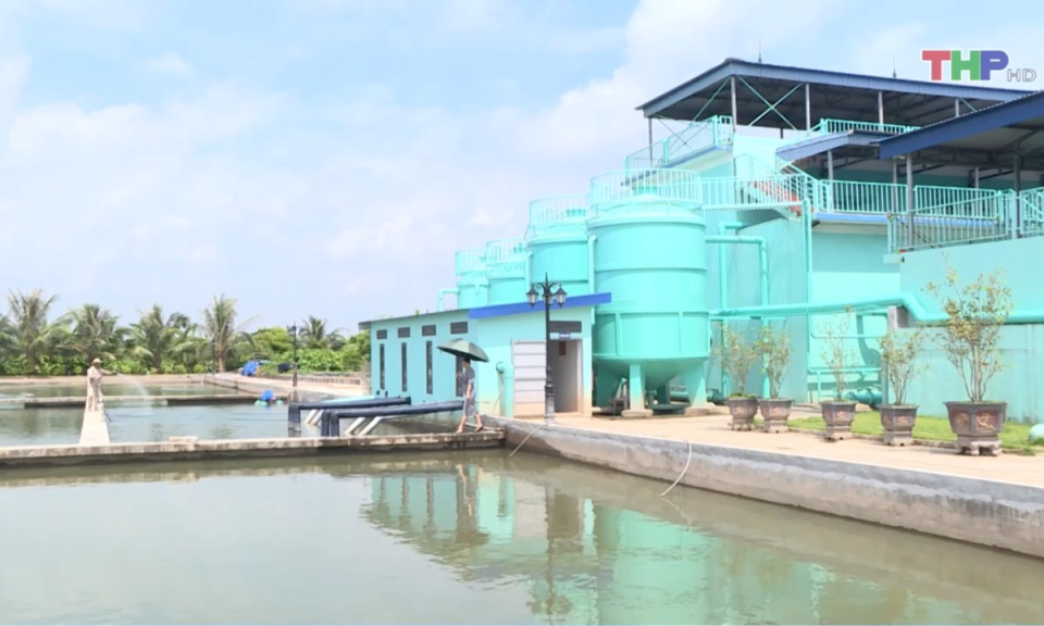 Bản tin thời sự trưa (23/11/2024)