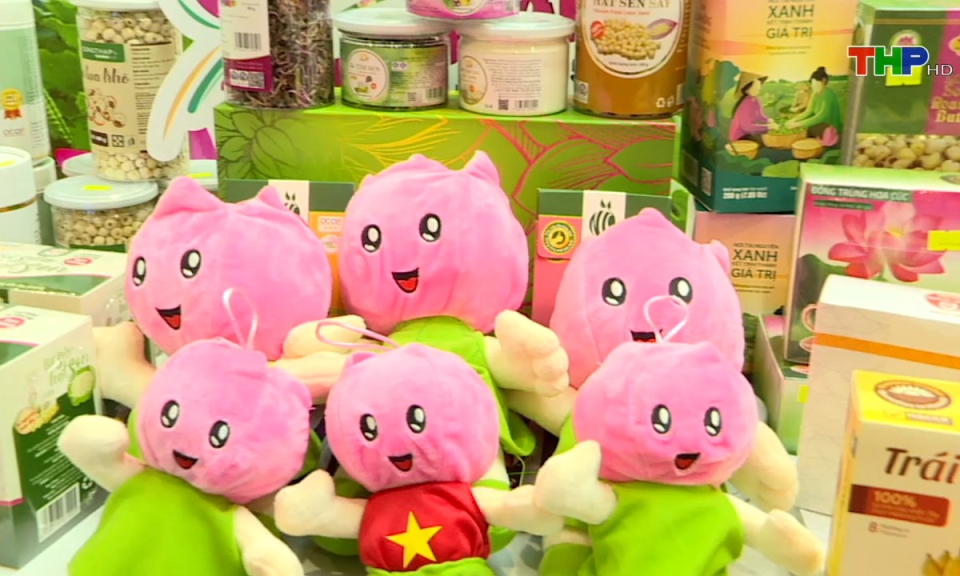 Bản tin tiếng Trung (23/11/2024)