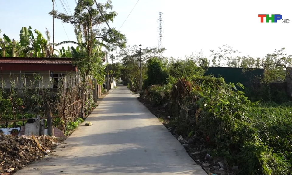 Bản tin thời sự s&aacute;ng (26/11/2024)