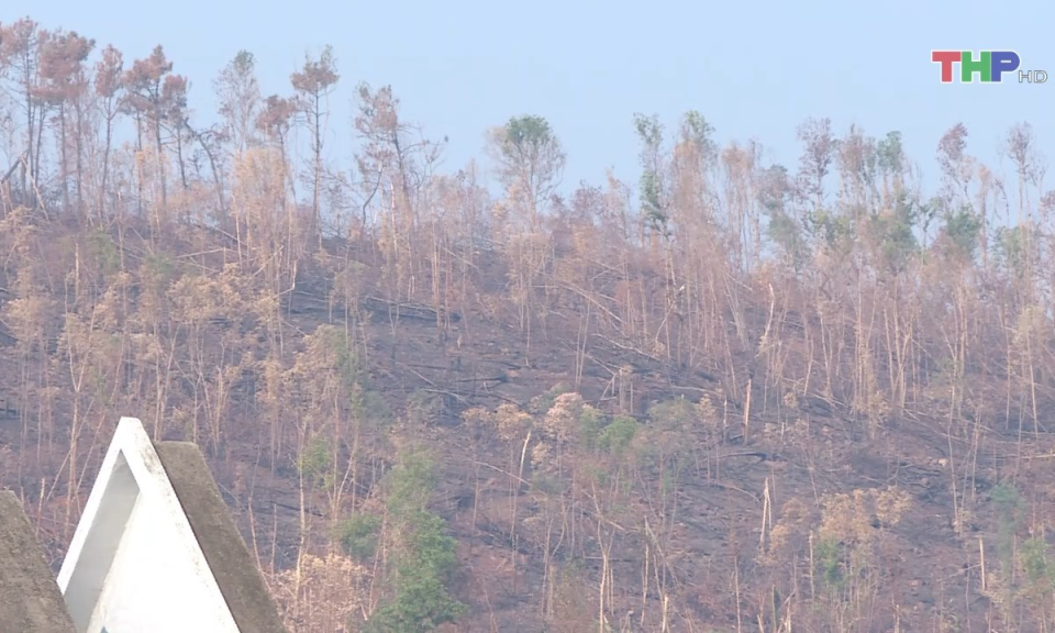 Bản tin thời sự trưa (26/11/2024)