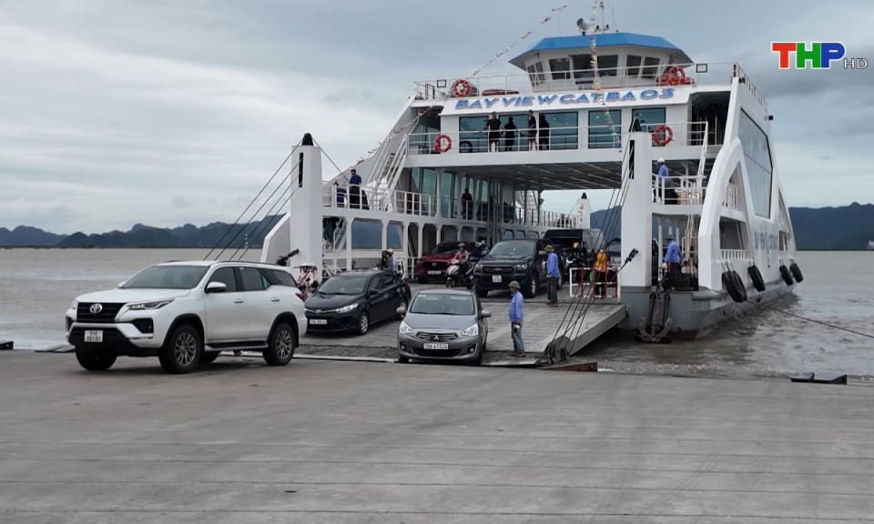 Bản tin Hải Ph&ograve;ng h&ocirc;m nay (26/11/2024)