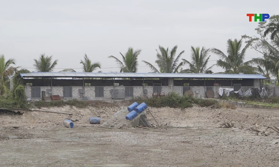 10 ph&uacute;t v&agrave;ng (26/11/2024)