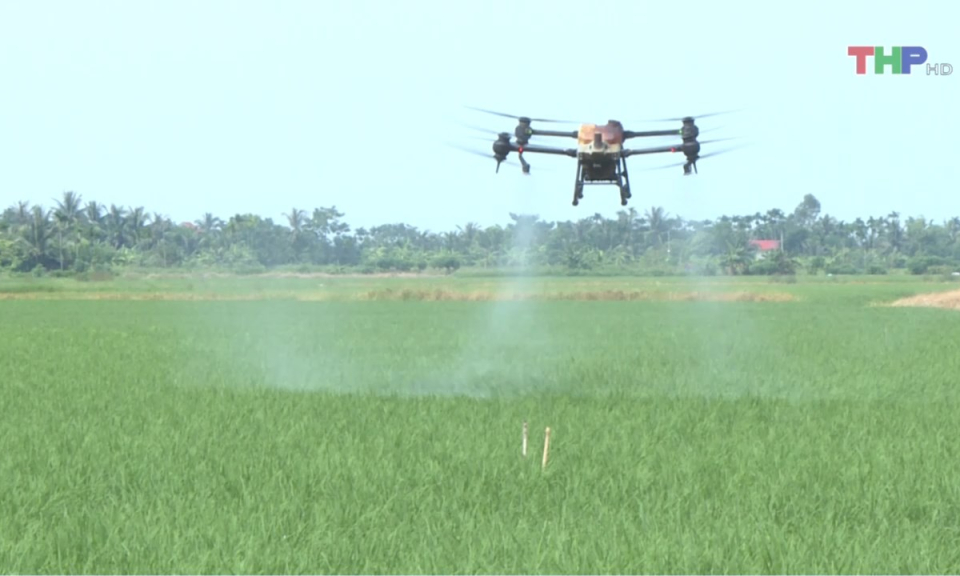 Bản tin thời sự trưa (28/11/2024)