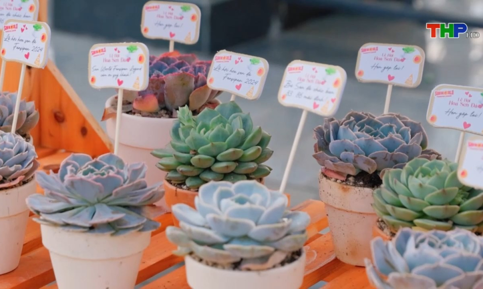 Bản tin Hải Ph&ograve;ng kết nối (29/11/2024)