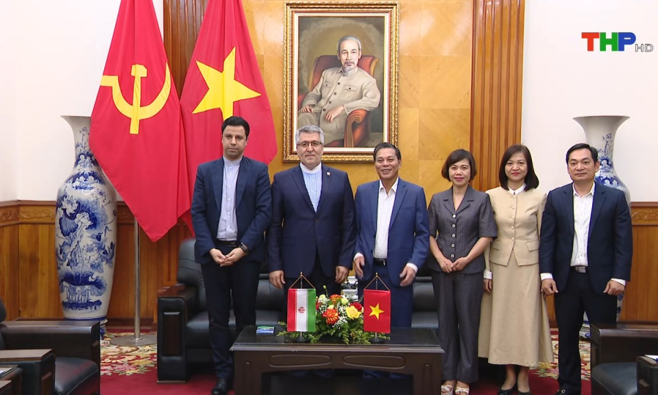 Bản tin thời sự tối (29/11/2024)