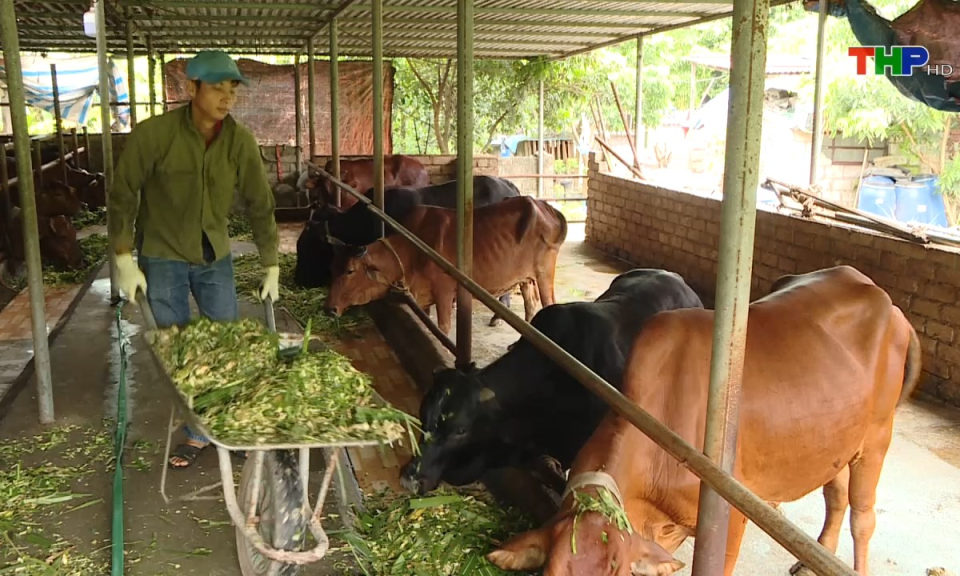 Lao động v&agrave; c&ocirc;ng đo&agrave;n: Đa dạng sinh kế tạo việc l&agrave;m cho người khuyết tật