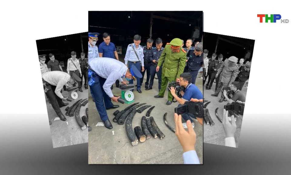 An ninh Hải Ph&ograve;ng: Tăng cường c&ocirc;ng t&aacute;c ph&ograve;ng chống bu&ocirc;n lậu, gian lận thương mại dịp cuối năm