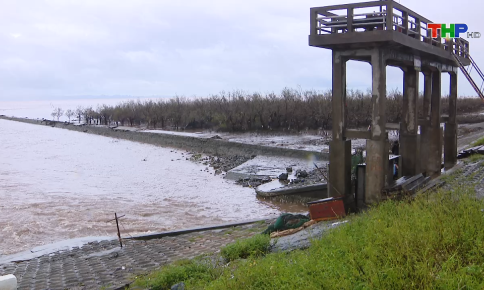 Bản tin thời sự s&aacute;ng (20/09/2024)