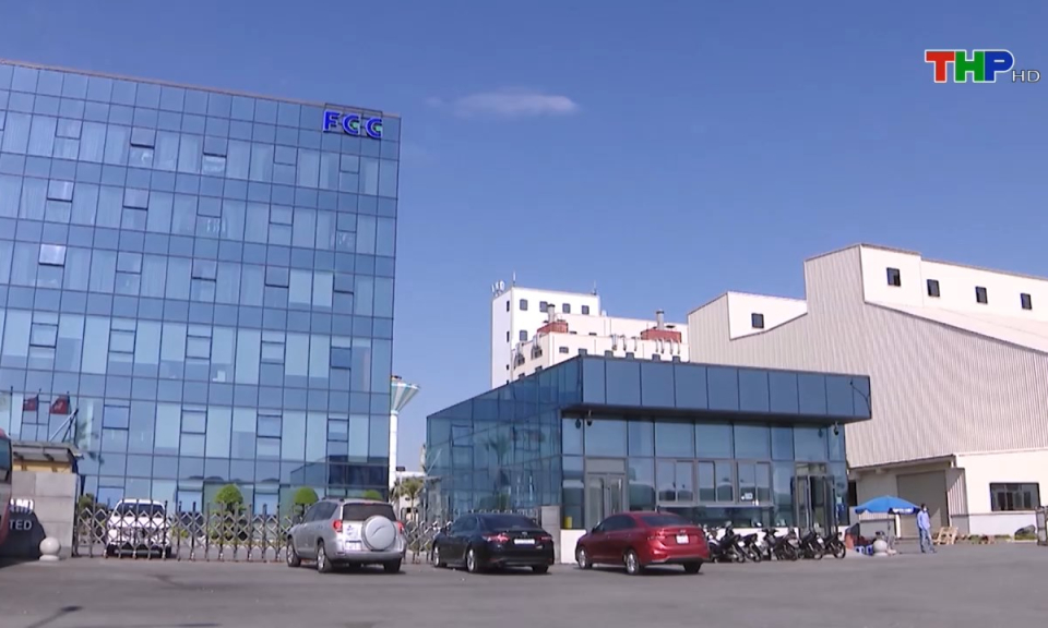 Bản tin tiếng Anh (14/11/2024)