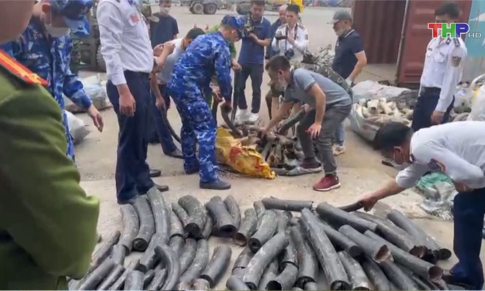 Ph&ograve;ng chống bu&ocirc;n lậu, gian lận thương mại